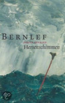   Hersenschimmen  ( -  toneelregistratie/ boek)